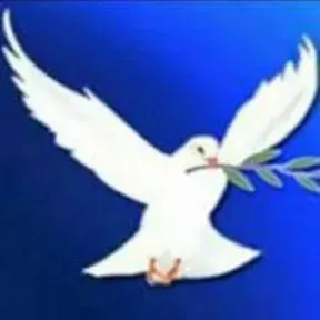 Rádio Novo Paraiso FM