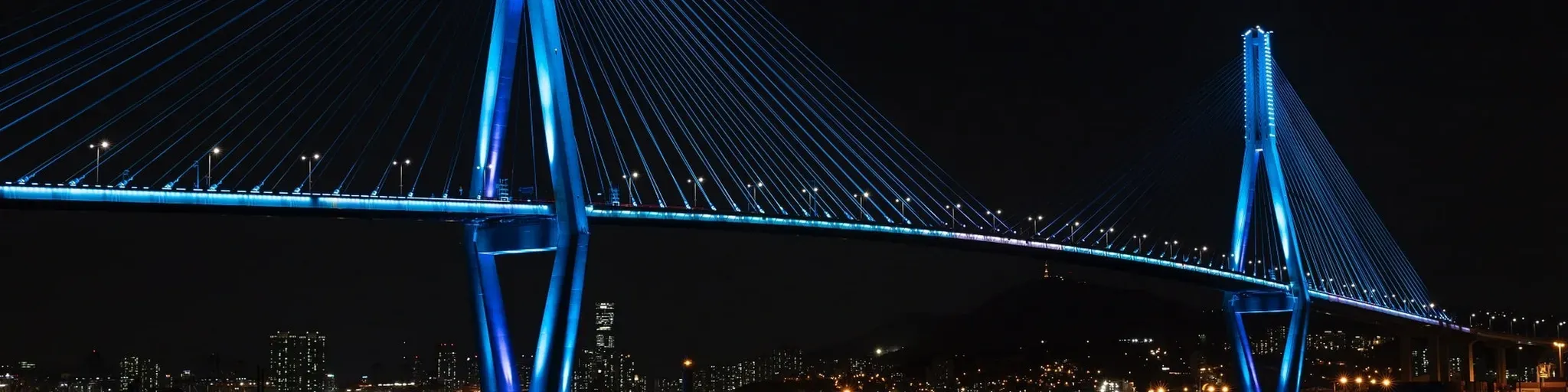 TJs MUSE BRIDGE