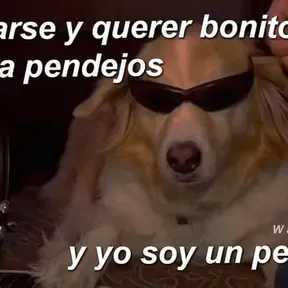 GUADALUPANA