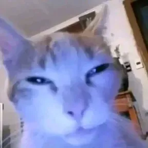 Ramboe