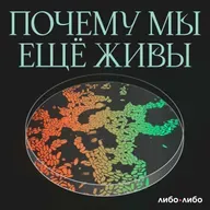 Опрос слушателей подкаста «Почему мы ещё живы»