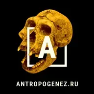 Пирамиды строили из бетона? Соколов смотрит Сундакова. Часть-3 | Прожектор лженауки