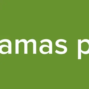 Replicante Electrico programas pasados o lo que se ocurra