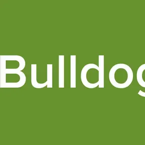 Radio Bulldog word