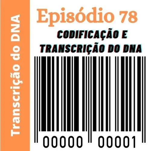 Ep78 - Codificação e transcrição do DNA