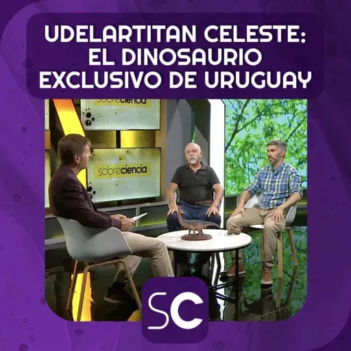 Udelartitan Celeste: el dinosaurio exclusivo de Uruguay