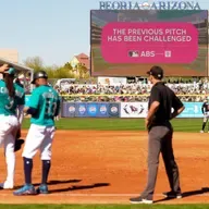 Are robo-referees making sports more fair or less fun?