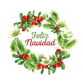 Rayoransno navidad