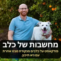 ”מחשבות של כלב”