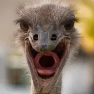 Ostrich Hostage Sausage