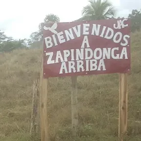Zapindonga Stereo