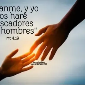 Toda la guaracha