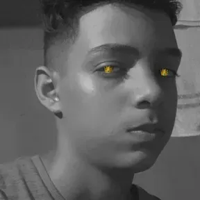 Vn tremx