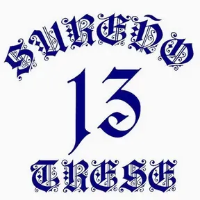 Sur 13