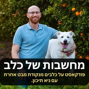 ”מחשבות של כלב”