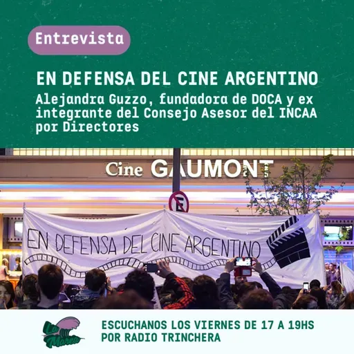 En defensa del cine argentino - Entrevista a Alejandra Guzzo, fundadora de DOCA y ex integrante del Concejo Asesor del INCAA