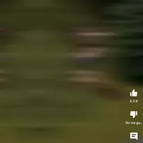 El papi wasap 2