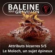 S07E96 Vous avez dit bizarre ? Attributs 5/5 : Le Moloch, un sujet... épineux
