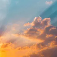 Vayan por todo el mundo