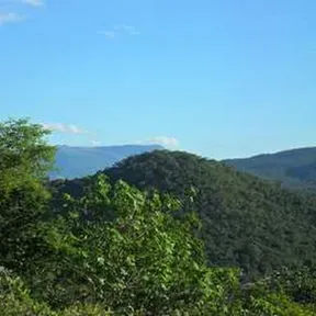 monte carmelo