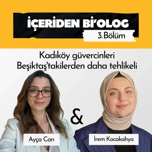 #66: Kadıköy güvercinleri Beşiktaş'takilerden daha tehlikeli | İrem Kocakahya