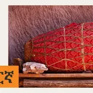 ቀጥታ ምሉእ ትሕዝቶ ኤስ ቢ ኤስ ትግርኛ (24 ሕዳር 2025)