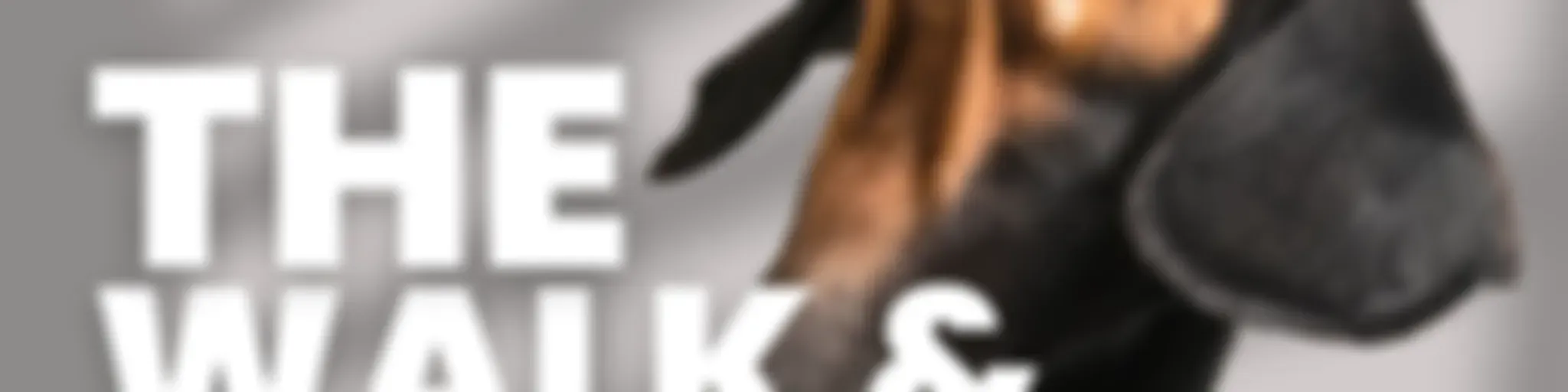 Listen Dog Training: The Walk & Talk