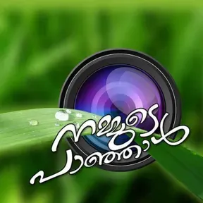 Nammudepanjal