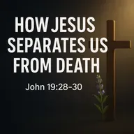 Separated From Death. How Jesus Makes the Spiritually Dead Clean Before God (John 19.28–30)