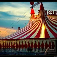#218 When the Circus Came to Town
