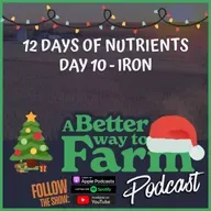 12 Days of Nutrients - Day 10: Iron