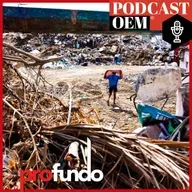 ¿Cómo se recuperarán las viviendas en Acapulco?