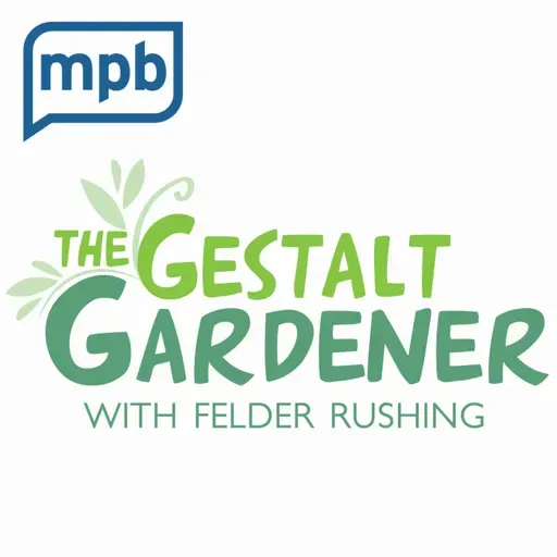 The Gestalt Gardener | Driving with Felder