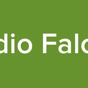 Radio Falopa