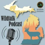 Ice storm, northern shrike and elk in "The Big Wild"
