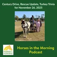 Century Drive, Rescue Update, Turkey Trivia for November 26, 2025