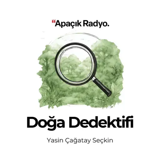 Buzul çağlarından günümüze Anadolu’daki bitki çeşitliliği