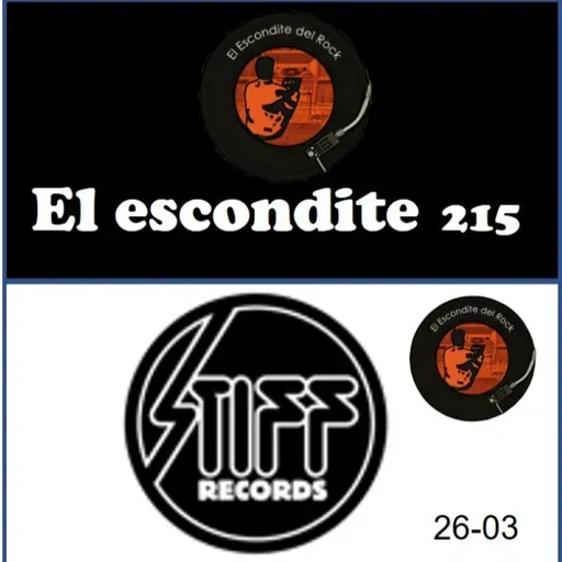 26 - 03. STIFF RECORDS, Origen y Legado