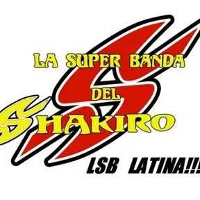 LSB LATINA