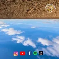 Deja espacio para la novedad 