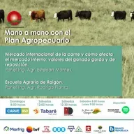 Mercado internacional de la carne . Escuela Agraria Raigón.