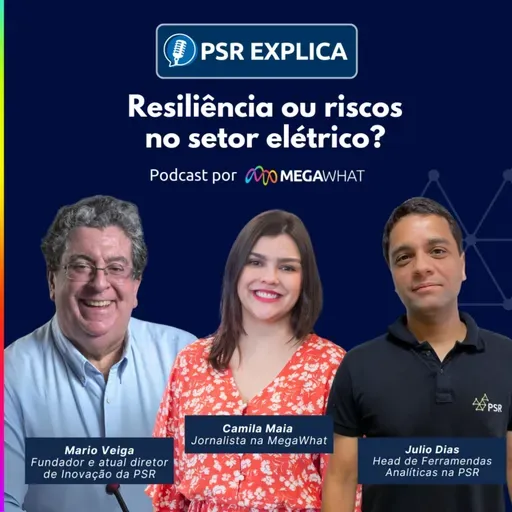 #02 - Resiliência ou riscos no setor elétrico? - PSR Explica na MegaWhat