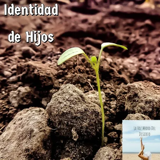 Identidad de Hijos