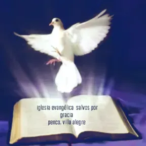 salvos por gracia (penco v illa alegre)