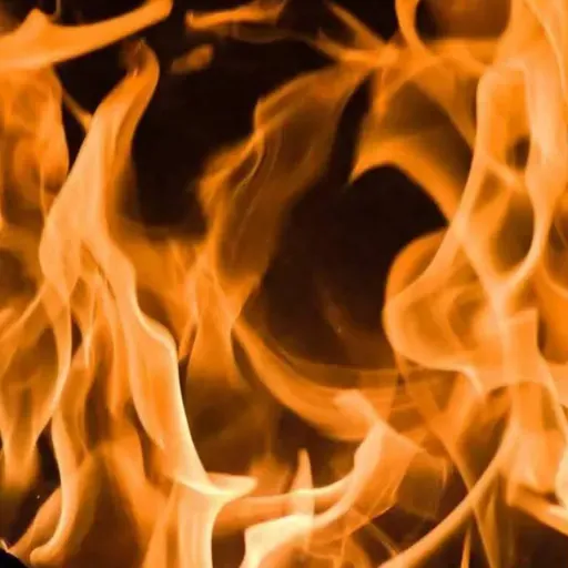 LEITURAS DE CHÃO  𝓮𝓻𝓱𝓲 𝓐𝓻𝓪𝓾𝓳𝓸