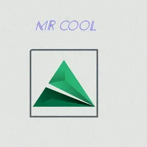 mr cool