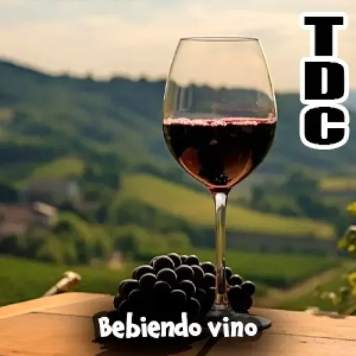 TDC Podcast - 238 - Bebiendo vino con Santi Rivas