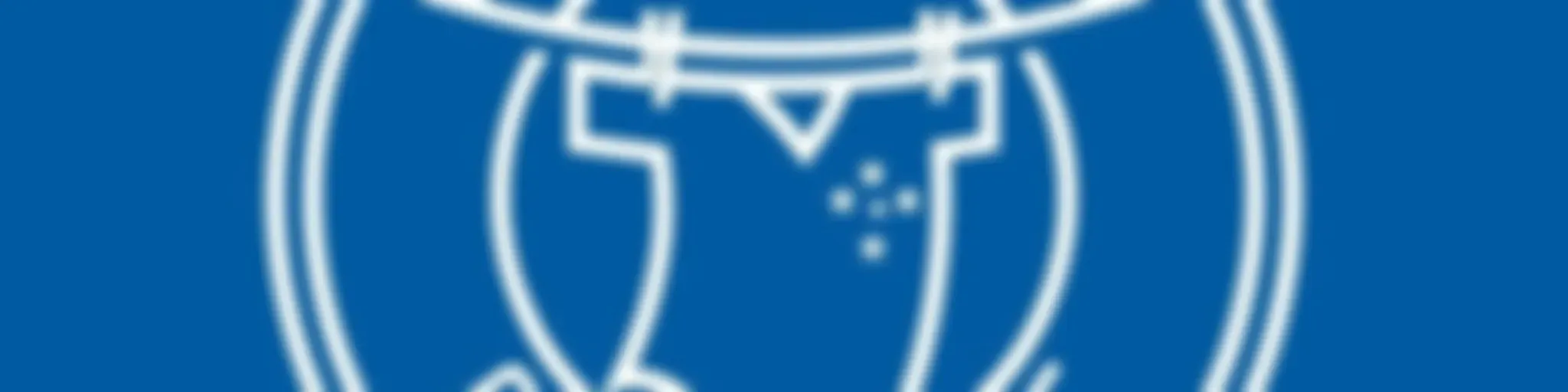 Varal Celeste 🦊🏆