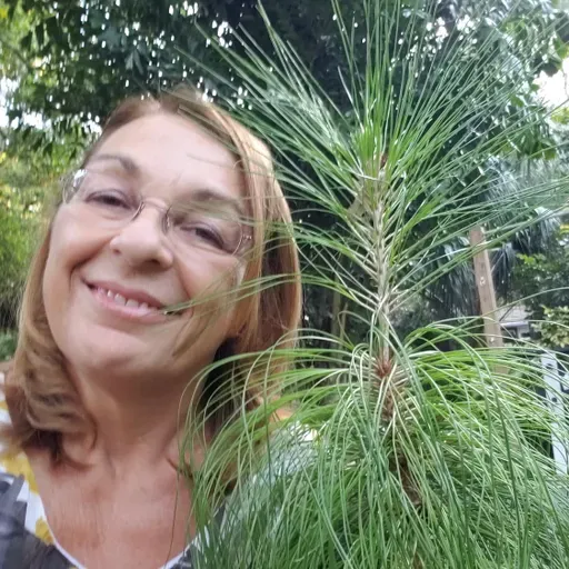 Water use in Tampa Bay with Julia Palaschak