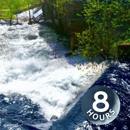 Cascatas em um rio na Noruega | Ruído branco para dormir, relaxar ou estudar (8 horas)